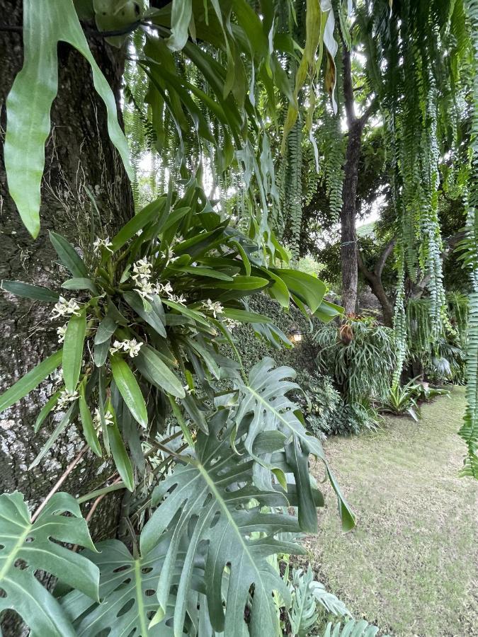 Iguanazu Bed & Breakfast 瓜亚基尔 外观 照片